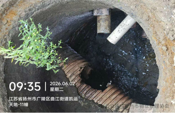3.3 3.3