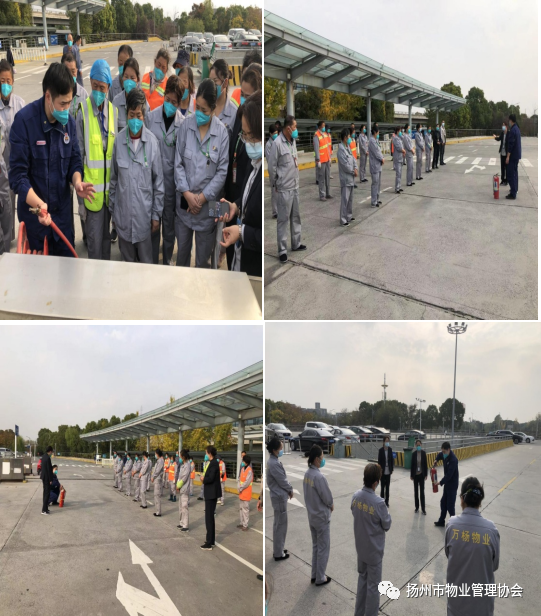 3.1 3.1