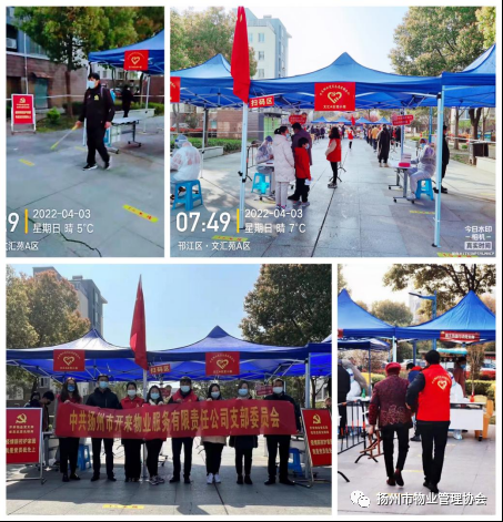 图片1 图片1