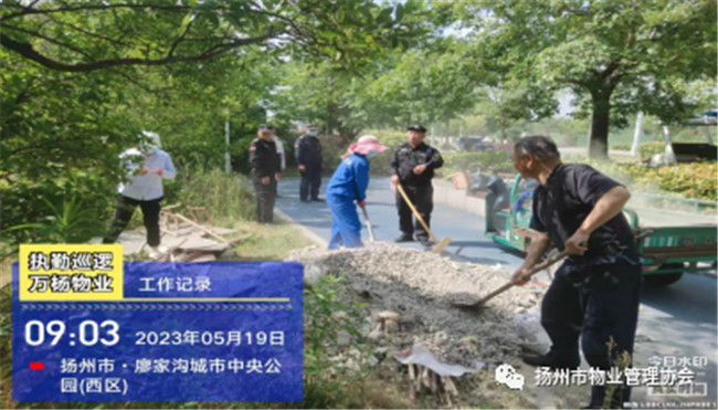 5.2 5.2