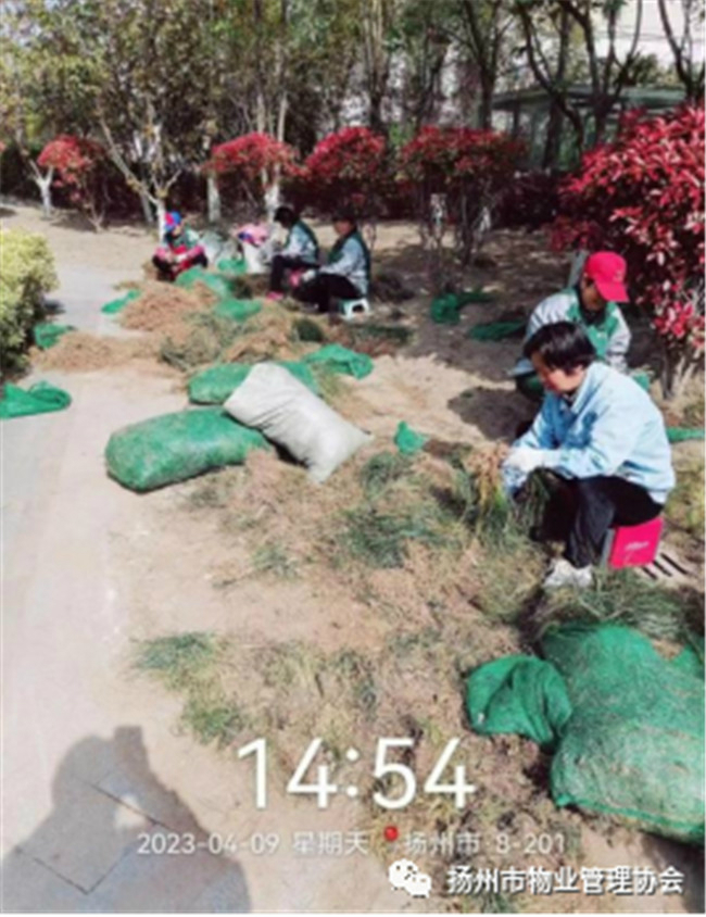 5.4 5.4