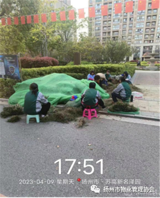 5.3 5.3